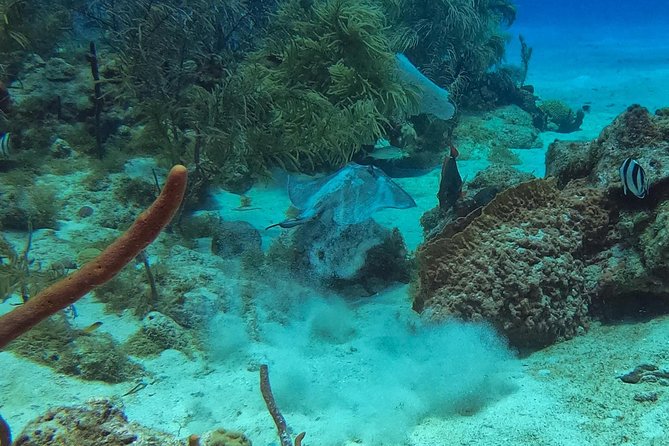Full-Day Scuba Diving Catalina Island Tour from Bavaro - Catalina Island lunch and the afternoon pause