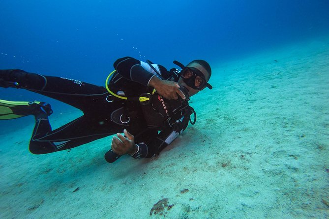 Full-Day Scuba Diving Catalina Island Tour from Bavaro - Equipment, certification, and physical demands