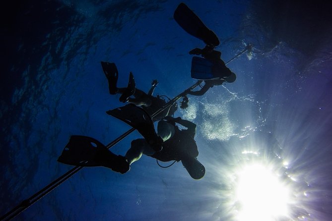 Full-Day Scuba Diving Catalina Island Tour from Bavaro - How the trip compares with a simple boat excursion