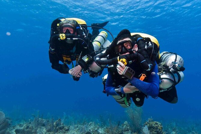 Full-day Scuba Diving Experience for Beginners & Lunch - Sharm El Sheikh - Key points to know before booking