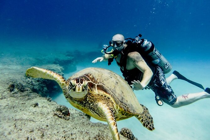 Full-day Scuba Diving Experience for Beginners & Lunch - Sharm El Sheikh - A first look beneath Sharm El Sheikh