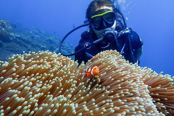 Full-Day Scuba Diving Experience of USAT Liberty in Tulamben - Meeting the instructor and preparing your equipment