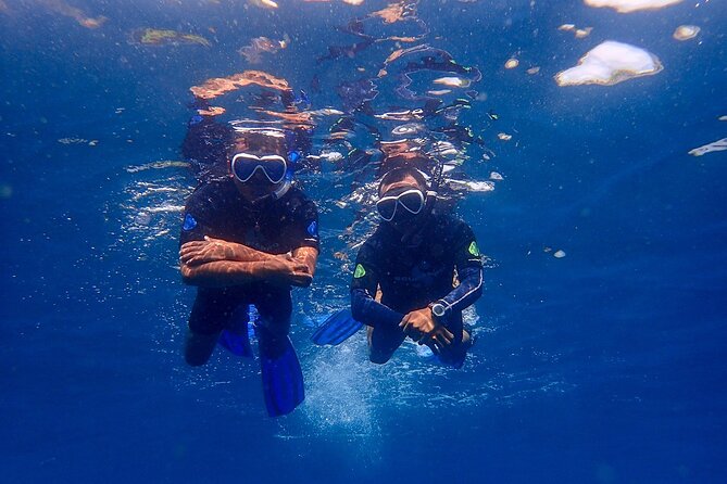 Full-Day Scuba Diving Experience of USAT Liberty in Tulamben - Depth limits and the beginner question