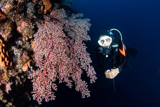 Full-Day Scuba Diving Experience of USAT Liberty in Tulamben - The early start from Jimbaran