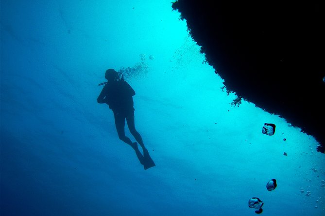 (Full day)Scuba Diving in Rhodes - Swimming and snorkeling while groups take turns