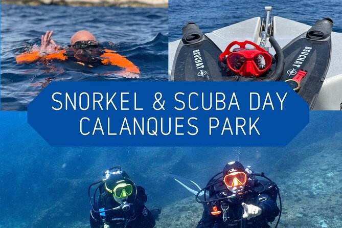 Full-Day Snorkeling and Guided Dive in the Calanques National Park from Marseille - Why this Calanques trip feels different from a quick snorkel outing