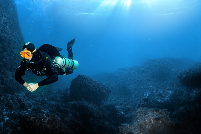 Full-Day Snorkeling and Guided Dive in the Calanques National Park from Marseille - A 30-minute ride across the water