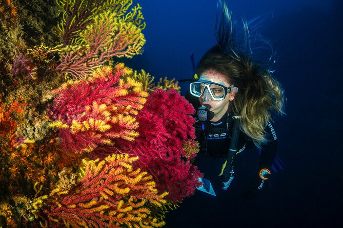 Full-Day Snorkeling and Guided Dive in the Calanques National Park from Marseille - Pointe Rouge and the Frioul Islands