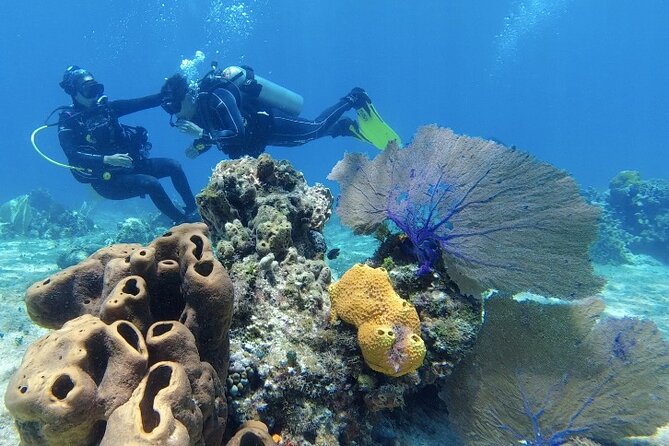 Fun Dive Machine in Playa del Carmen or Cozumel-For Certificates - What the price includes, and what it does not