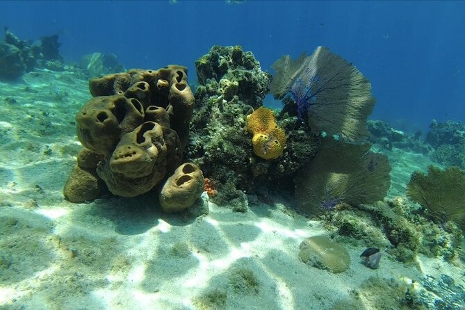 Fun Dive Machine in Playa del Carmen or Cozumel-For Certificates - Equipment, comfort, and practical preparation