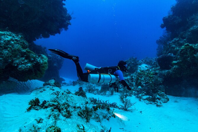 Fun Dive Machine in Playa del Carmen or Cozumel-For Certificates - Who will get the most from this outing