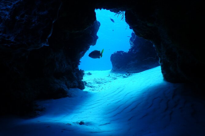 Fun dives Cozumel south marine park - Meeting at Hotel Villablanca before 8:45 a.m.