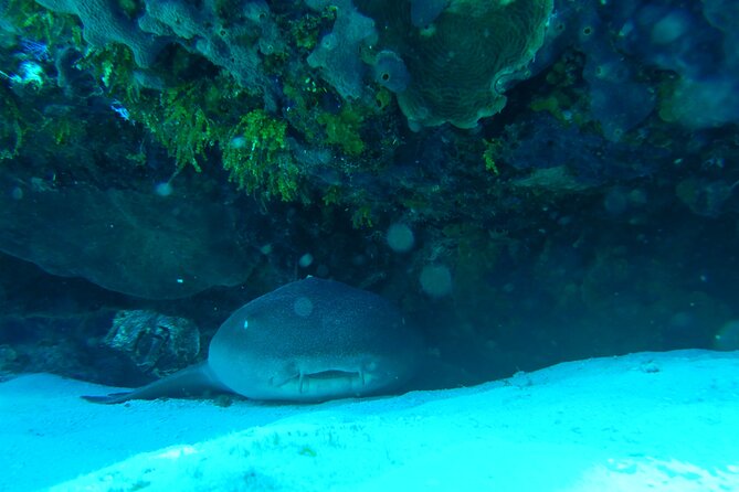 Fun dives Cozumel south marine park - The fast boat ride to Cozumel’s marine park