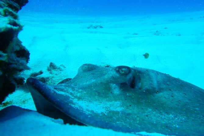 Fun dives Cozumel south marine park - Lunch, fruit, and a pause between sessions