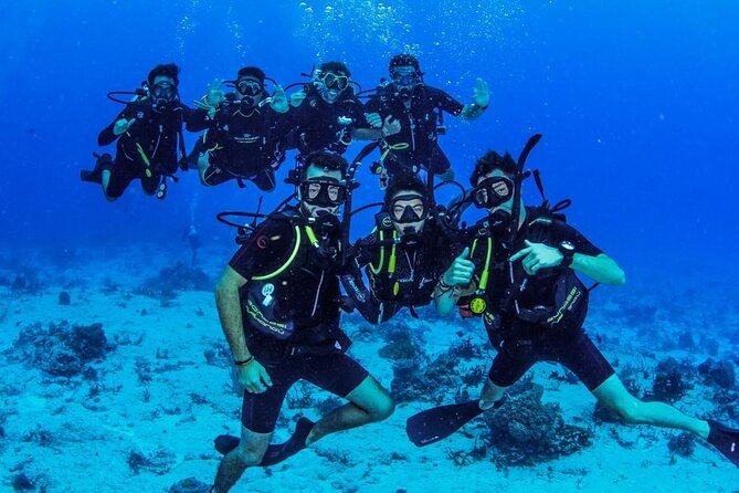 Fun dives Cozumel south marine park - Second underwater outing and the trip back