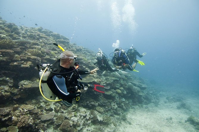 Fun Dives For Certified Divers - Reefs, Rocks, Wrecks, and Pigeon Island