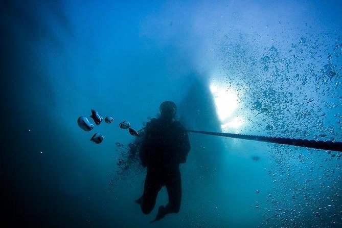 Fun Dives For Certified Divers - What the Onshore Routine Is Like