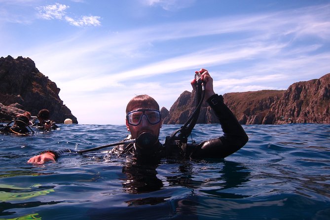 Fun Dives - Guided Dives for Certified Divers - Who will enjoy this Nha Trang trip most