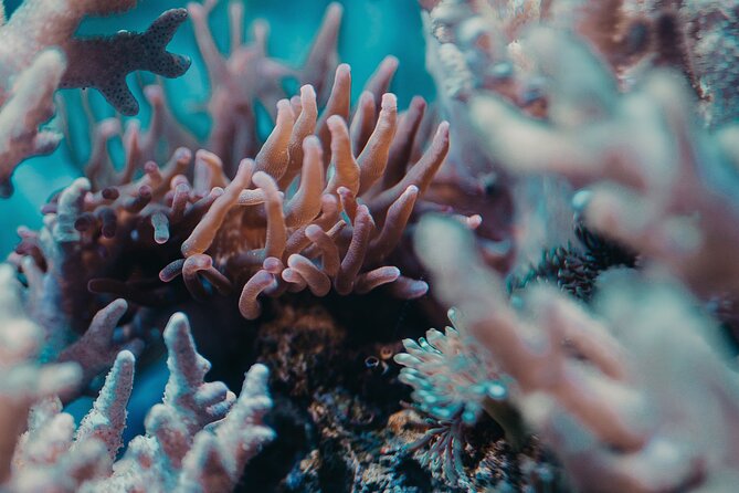 Fun Diving for Certified Divers at Phu Quoc Islands - How the six-hour schedule feels