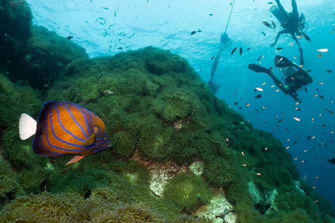 Fun Diving Packages (Certified Divers) - Weather can change the plan