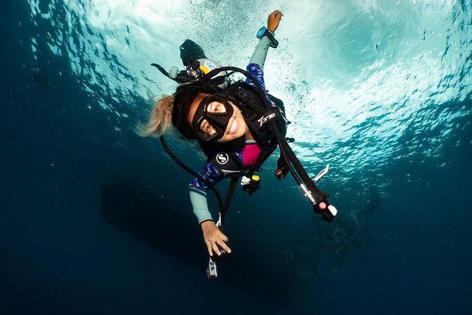 Fun Diving Packages (Certified Divers) - The guide makes a practical difference