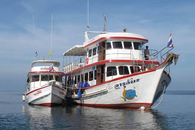 Fun Diving Safari Day Trip From Koh Lanta - Certified Divers - Leaving Kantiang Bay at 8:00 am