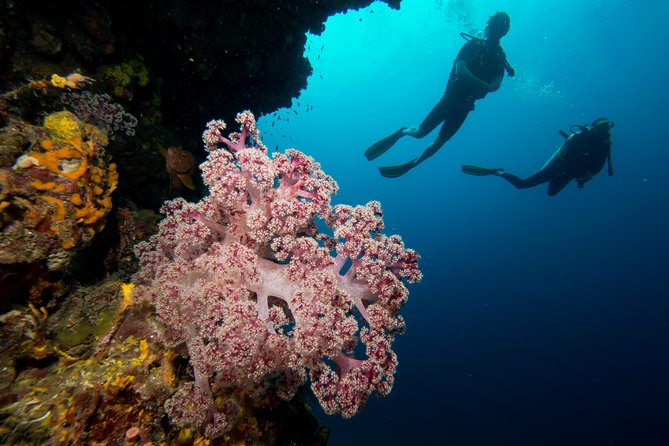 Fun Diving Safari Day Trip From Koh Lanta - Certified Divers - Two sessions, with room for a third