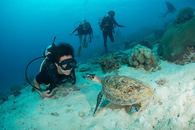 Fun Diving Safari Day Trip From Koh Lanta - Certified Divers - Meals, drinks, and the value of the $60 price