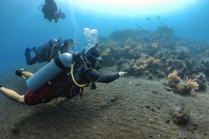 Fun Diving Tulamben Bali - For Certified Divers - Why the USAT Liberty is worth the long ride