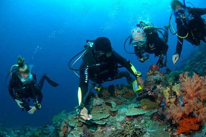 Fun Diving Tulamben Bali - For Certified Divers - The early pickup from Seminyak