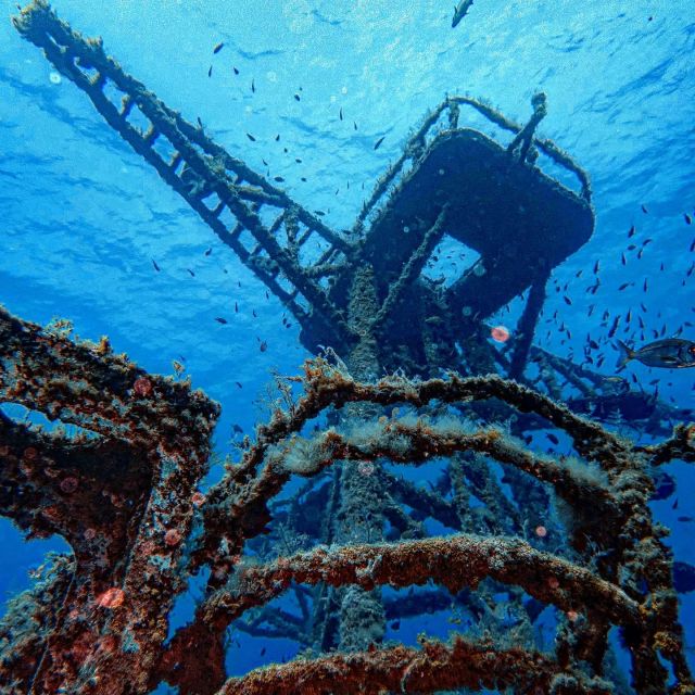 Funchal: Advanced Scuba Diving Afonso Cerqueira Wreck - Leaving Funchal for the open sea