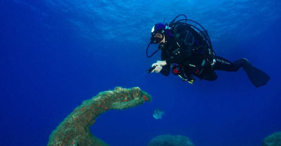 Funchal: Certified Scuba Diving, Guided Tour - Is $33 good value?