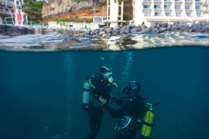 Funchal: Scuba Diving Experience for Beginners - What you might see below the surface