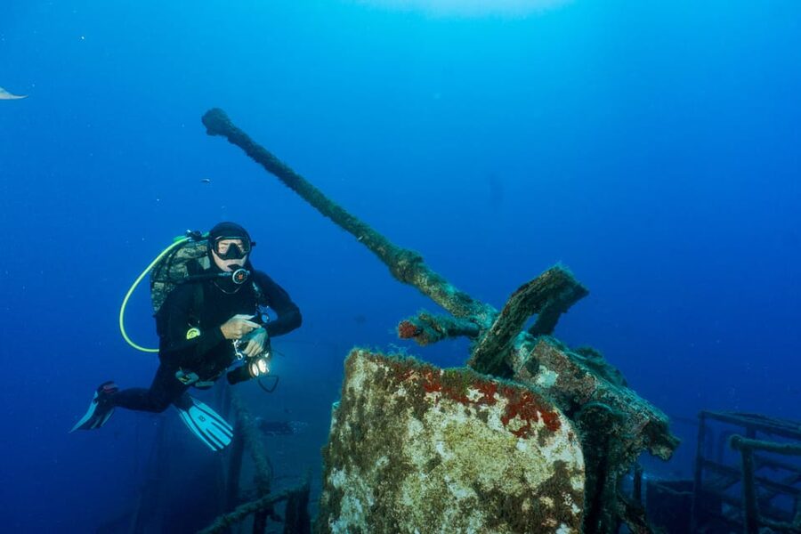 Funchal: Wreck dive F488 Frigate - certified divers - A short swim, then a 10 to 15-minute boat ride