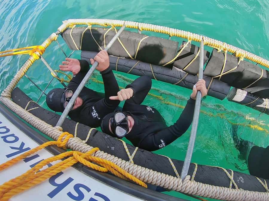 Gansbaai: Shark Cage Diving and Shark Viewing Boat Trip - Key details before you book