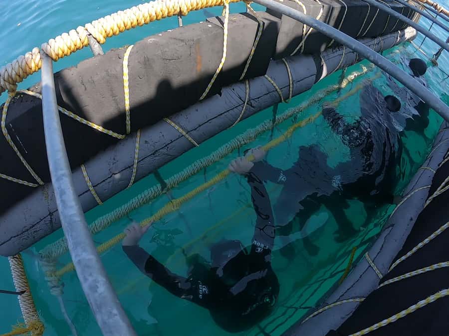 Gansbaai: Shark Cage Diving and Shark Viewing Boat Trip - Returning to shore with soup and a shower