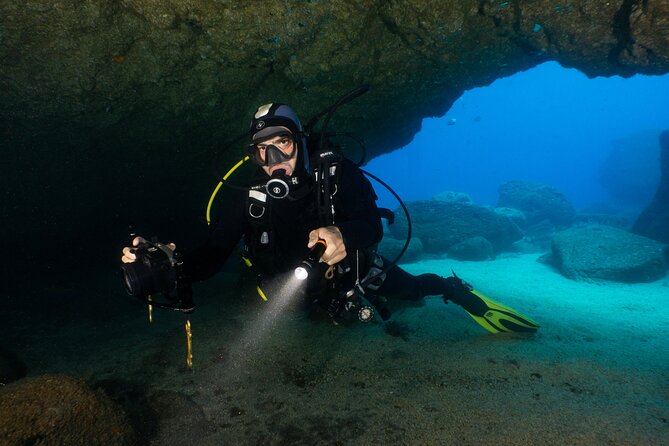 Garajau National Park Dive from Funchal for Certified Divers - Sea conditions can change the whole day