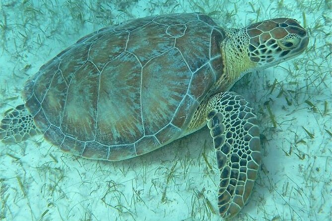 Get SCUBA Certified at San Juan - Is $715 a good value?
