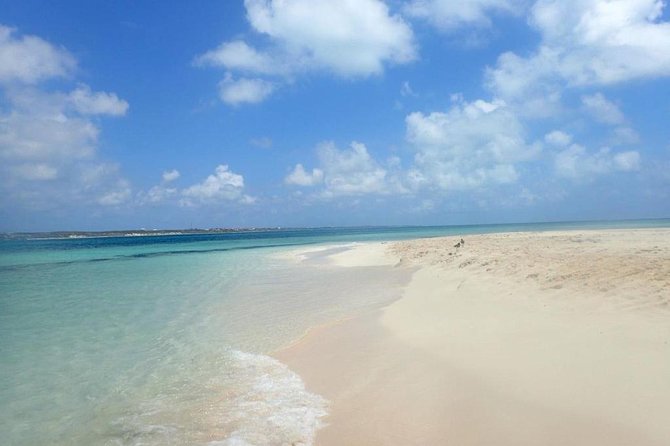 Gibbs Cay Stingray and Conch Dive Adventure - Is $103 a fair price?