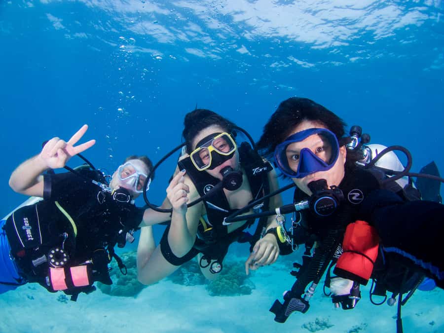 Gili Meno: Discover Scuba Diving for the first time - Why Gili Meno is a good place for your first underwater session