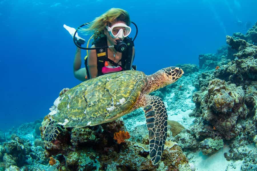 Gili Meno: Discover Scuba Diving for the first time - Meeting at Divine Divers at 8:00