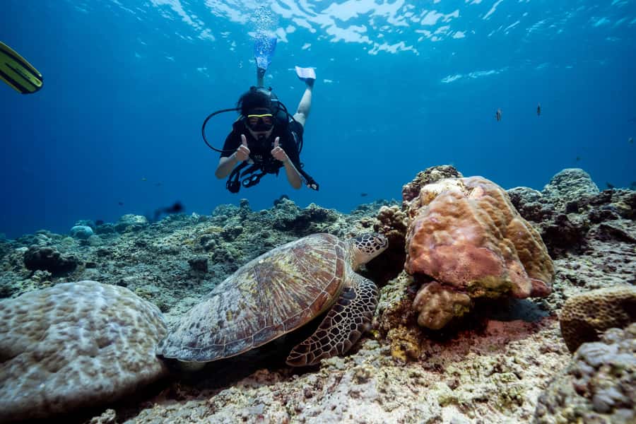 Gili Trawangan : Discovery Scuba Diving - Starting at Manta Dive Gili Trawangan