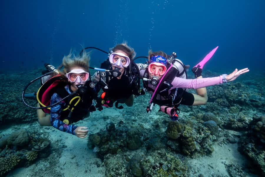 Gili Trawangan : Discovery Scuba Diving - Who will enjoy this most