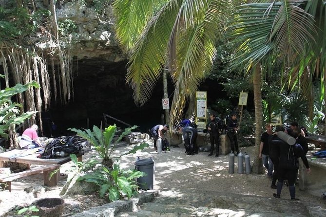 Go for 2 dives in cenote Dos ojos for certified divers - The Barbie Line: limestone and freshwater views