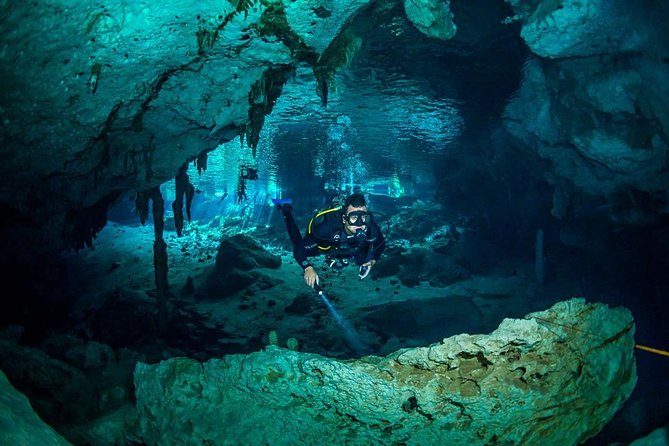 Go for 2 dives in cenote Dos ojos for certified divers - The Bat Cave: a darker, more theatrical route