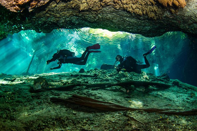 Go for 2 dives in cenote Dos ojos for certified divers - What happens at La Calypso Dive Center