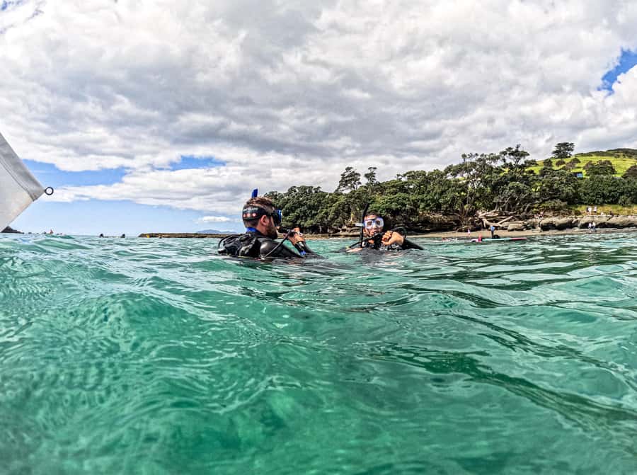 Goat Island Try Scuba Diving Experience - Why Goat Island is a smart place for a first scuba experience