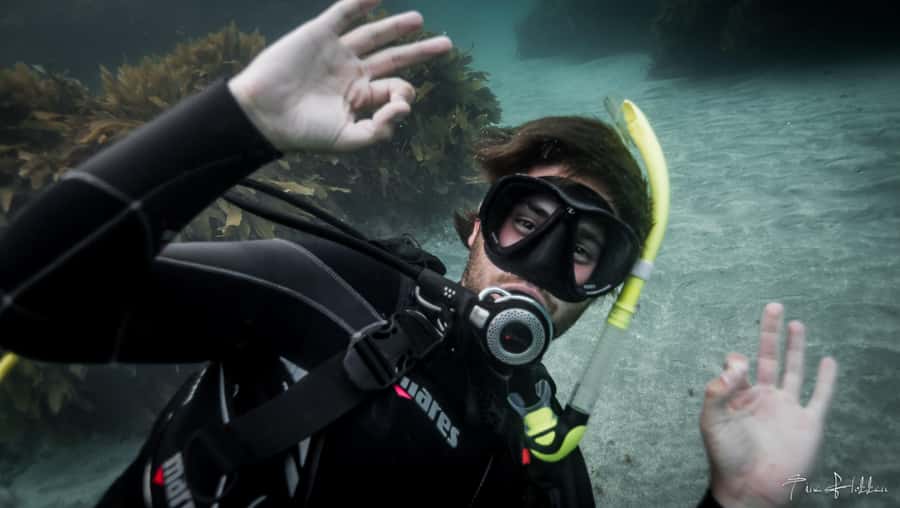 Goat Island Try Scuba Diving Experience - Learning to breathe underwater in shallow water