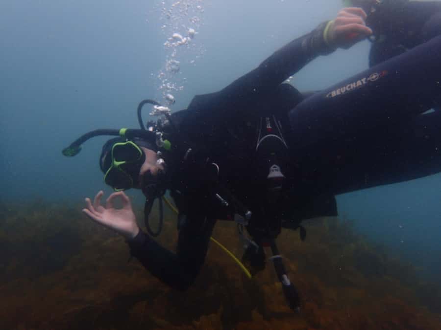 Goat Island Try Scuba Diving Experience - What the instructors add to the experience