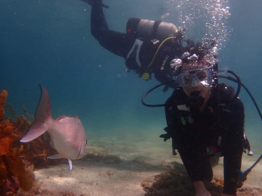 Goat Island Try Scuba Diving Experience - Is $166 a fair price?